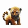 BabyBNBTiger