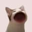 Popcat (SOL)
