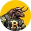 BTC Bull Token