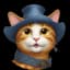 PussFi