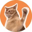 CatSlap