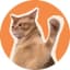 CatSlap