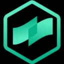 COTI Governance Token