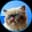 Mr Miggles