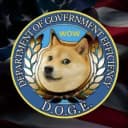 Department Of Government Efficiency (dogegov.com)