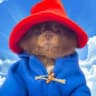 Bertram The Pomeranian