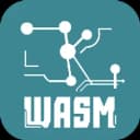 ZKWASM