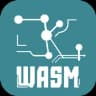 ZKWASM