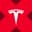Tesla tokenized stock (xStock)