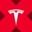 Tesla tokenized stock (xStock)