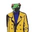 Fancy Frog Coin