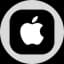 Apple Tokenized Stock (Ondo)