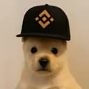 PUP
