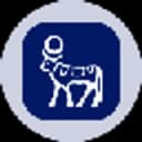 Novo Nordisk Tokenized Stock (Ondo)