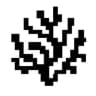 Coral Protocol