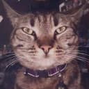 Remember KitKat