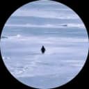 Nietzschean Penguin