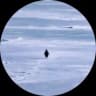 Nietzschean Penguin