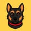 Belgian Malinois