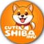 Cute Shiba Inu
