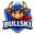 Bullski Coin