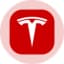 Tesla Tokenized bStocks