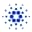 Cardano